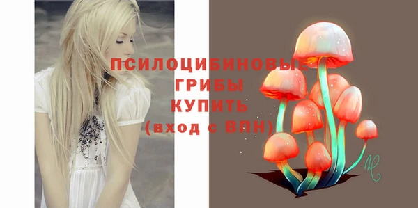 mdpv Михайловск