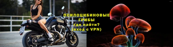mdpv Михайловск