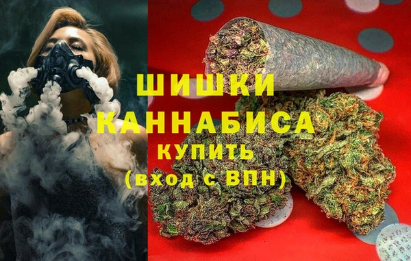 сатива Бугульма