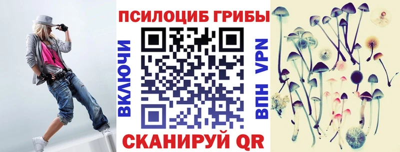 Псилоцибиновые грибы Cubensis  магазин продажи наркотиков  Гаджиево 